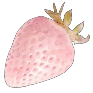🍓