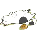 😴