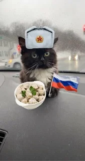 🇷🇺