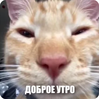 😶‍🌫️