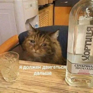 💪