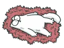 😴