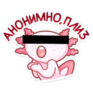 🙈