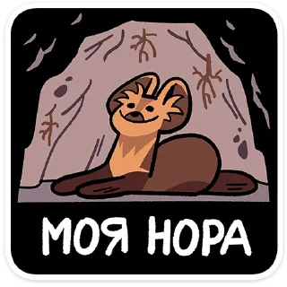 ⭐