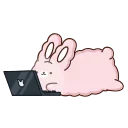 👨‍💻