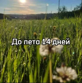 ☀️
