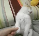 😴