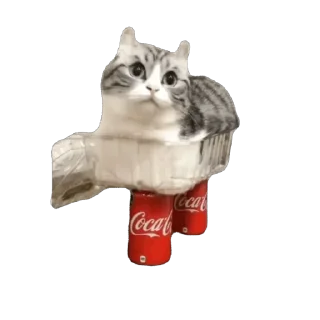 🫥