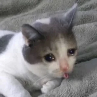😭