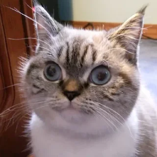 😐