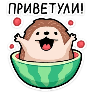 🍉