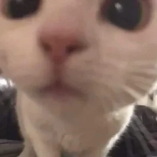 😶