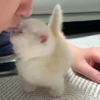 😘