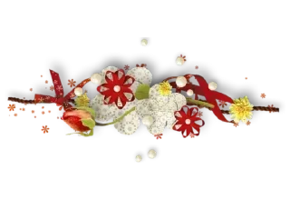 🌺