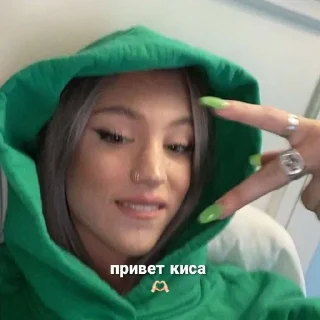 🐈