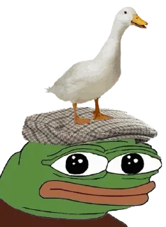 🐓