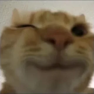 😉