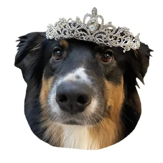 👸