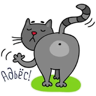 🐈