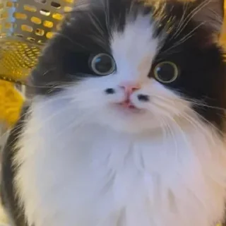 😊
