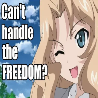🇺🇸