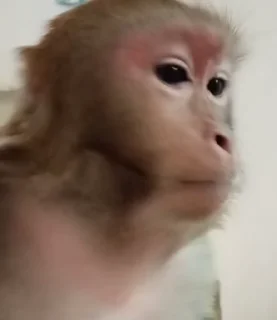 😳