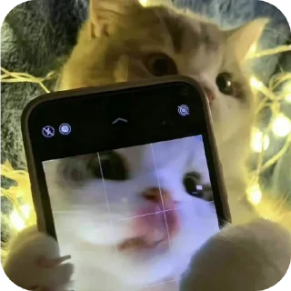 🤳