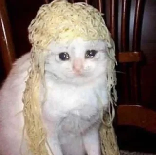 😭