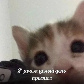 ☺️
