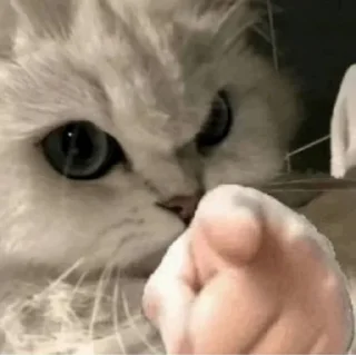 😒