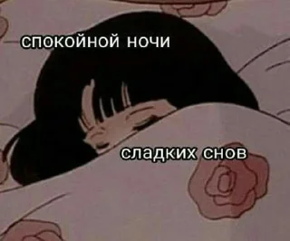 ✨