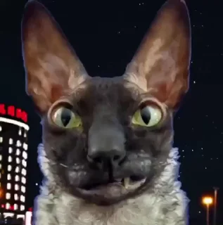 😝