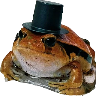 🎩