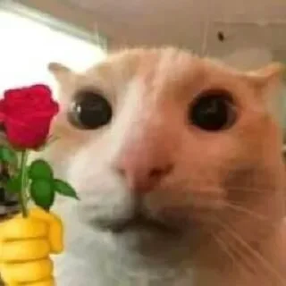 🌹