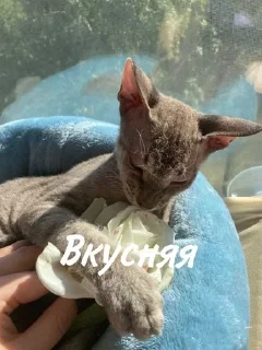 ☺️