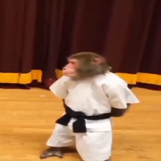 🐵
