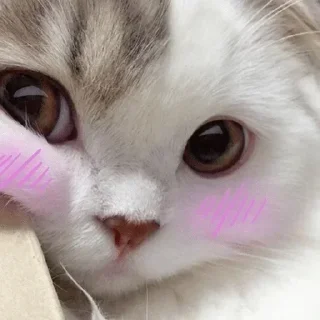 ☺️
