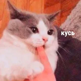😈