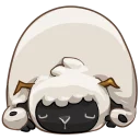 😴