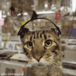 🎧