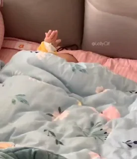 ✨
