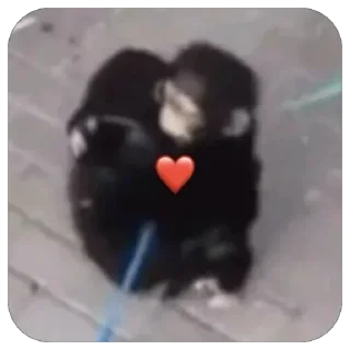 ❤️