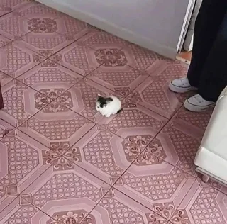 🎀