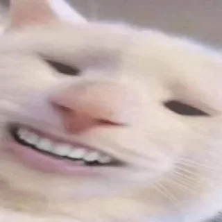 😁