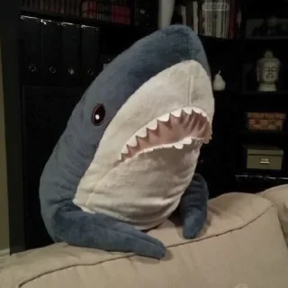 Shark @stickersb2b