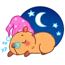 😴