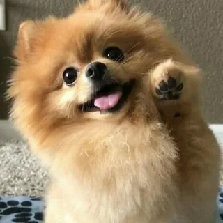 🤩