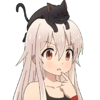 😺