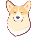 🐶