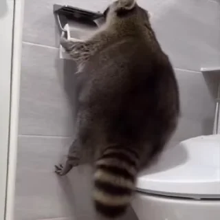 🤪